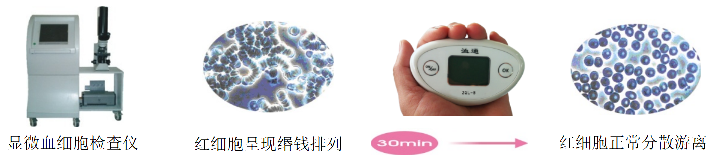 1758358620153088.png (16)圖片.png